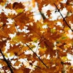 How to Make a Plan for Your Charitable Giving