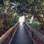 What Does Market Volatility Mean for Your Investments?